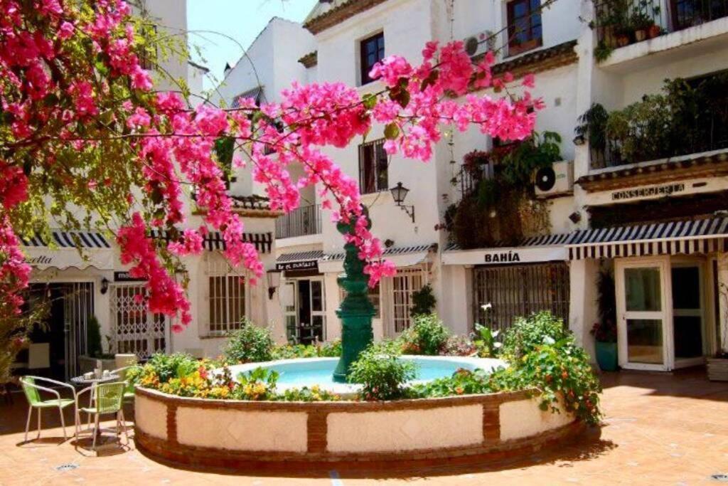 Begonia Studio 119 Torremolinos Extérieur photo