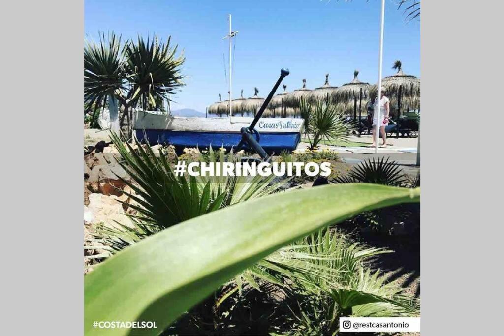 Begonia Studio 119 Torremolinos Extérieur photo